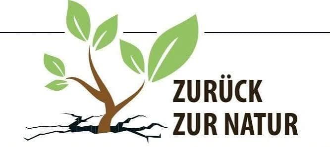 Zurück zur Natur: Pflanze wächst aus Rissen